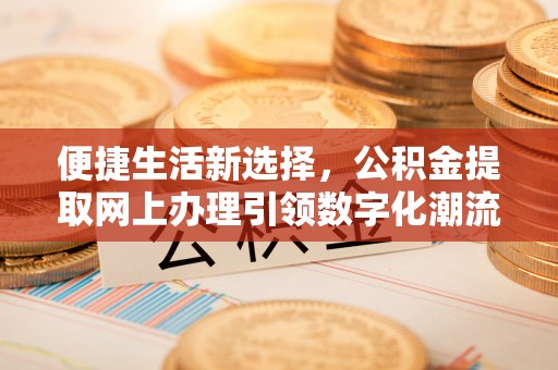 昂昂溪便捷生活新选择，公积金提取网上办理引领数字化潮流