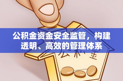 昂昂溪公积金资金安全监管，构建透明、高效的管理体系